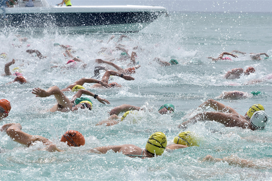 Flowers sea swim back again with a huge splash