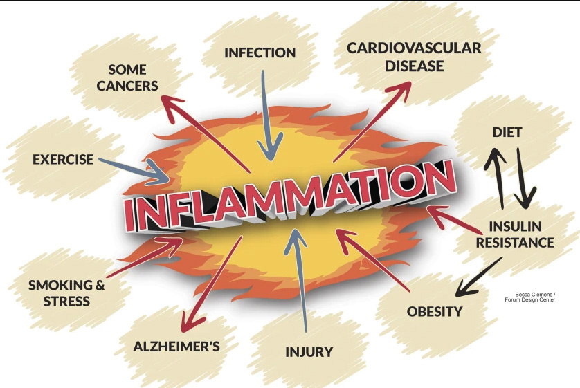 new research on inflammation