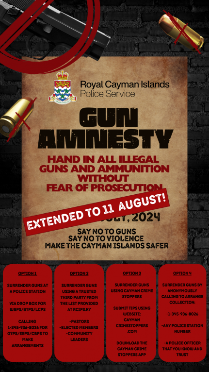Gun Amnesty extended to August 11